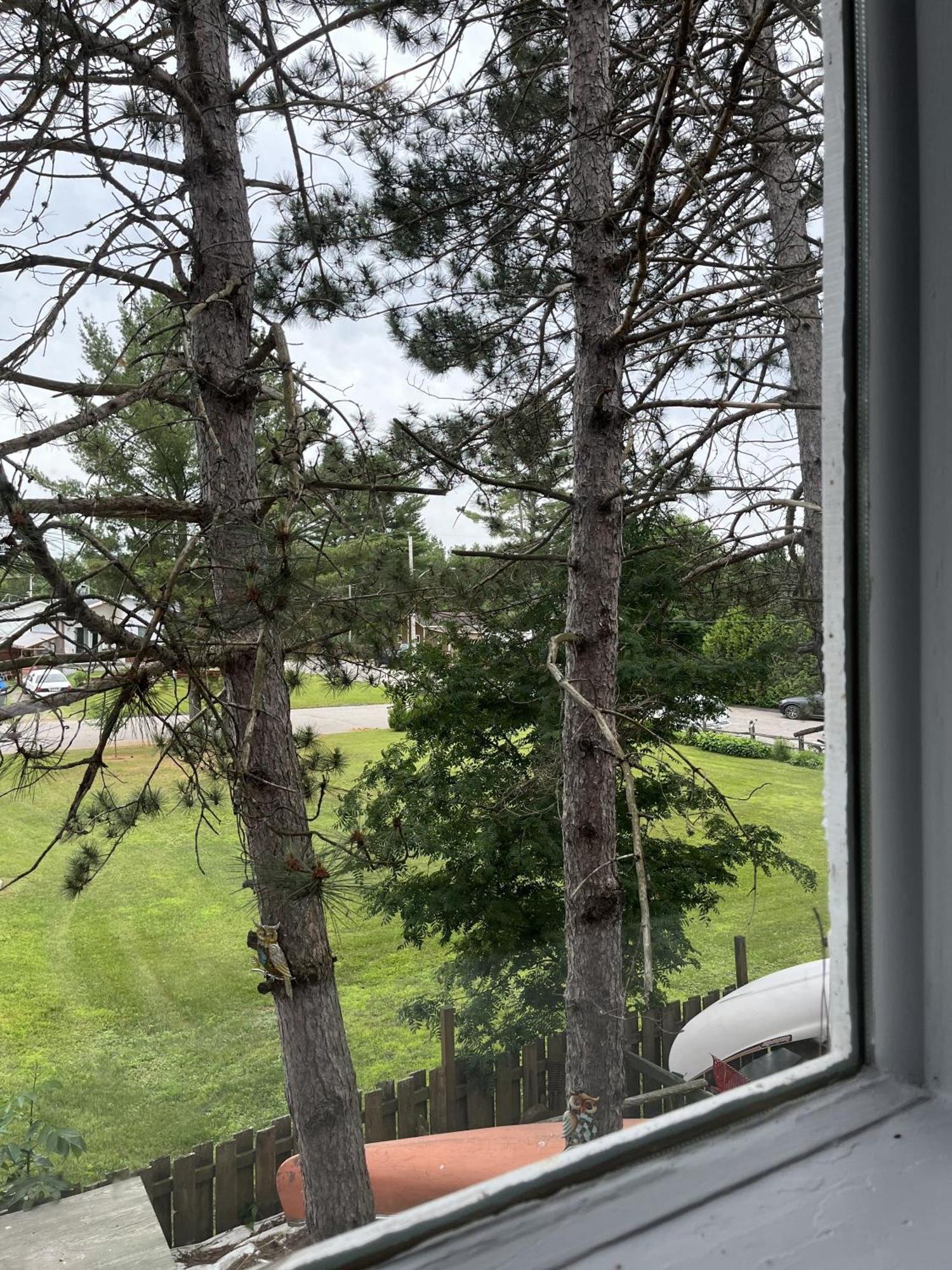 Auberge De Ferme-Neuve Lac-Saint-Paul Eksteriør billede